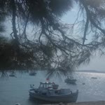 Begüm