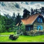 Ayhan