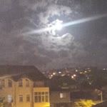 Nilgun