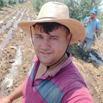 Mustafa