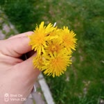 Tufan