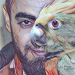 Şahin