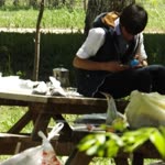 Güven