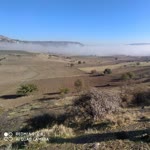 Mücahit