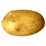 Can