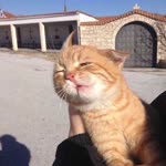 Gizem