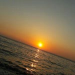 Alaa
