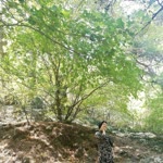Fatma
