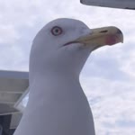 Eymen
