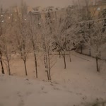 Sçkn