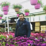 Adil