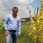 İlhan