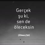 Şenol