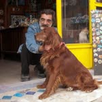 Faruk