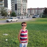 Şahin