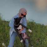 Elif
