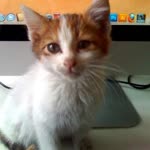 Ecem