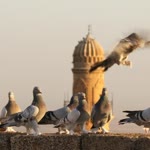 Sinan