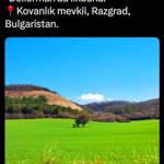 Zafer