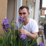 Ferdal