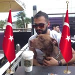 Ayvazoglu