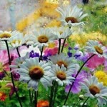 Alime