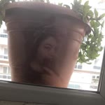 Melek