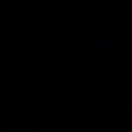 Ersin