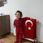 Orkide
