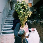 Damla