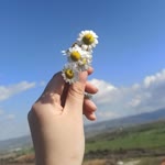 İlayda