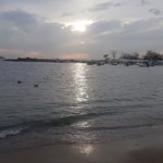 Mine