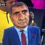 Göksel