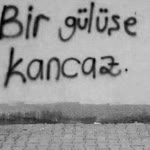 Şerife