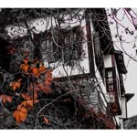Ferhat
