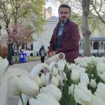 Mahmut