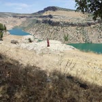 Öznur