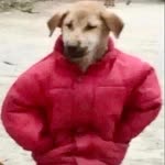 Minnoş
