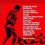 Metin