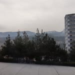 Ergin
