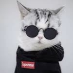Carl