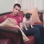 Ferdi