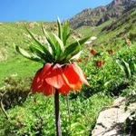 Erhan