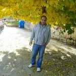 Sedat