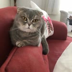 Fatma