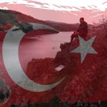 Nedim