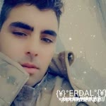 Erdal