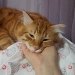Latife