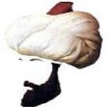 Fatih