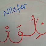 Nilüfer